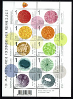 Nederland 2011 - NVPH 2834/2843 - Blok Block - Wetenschap, Science - Microbiologie, Microbiology - MNH - Unused Stamps