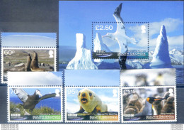 South Georgia. Fauna 2011. - Falklandeilanden