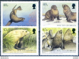 South Georgia. Fauna. Otaria 2002. - Falklandinseln