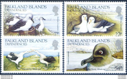 South Georgia. Fauna. Albatros 1985. - Falklandinseln