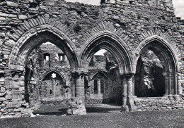 1 AK England * Netley Abbey Eine Ehemalige Zisterzienserabtei - Chapter House Seen From Cloister * - Other & Unclassified