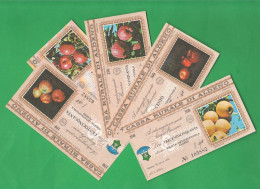 Aldeno Trento Cassa Rurale 6 Miniassegni 1978 Da 150 200 250 300 350 Lire Mele Apples Pommes - [10] Checks And Mini-checks