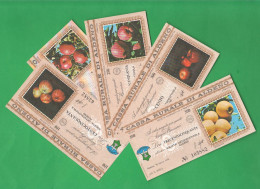 Trento Aldeno Cassa Rurale 5 Miniassegni 1978 Da 150 200 250 300 350 Lire Mele Apples Pommes - [10] Cheques Y Mini-cheques