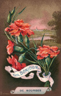 18 BOURGES - UN BONJOUR DE BOURGES Pivoines Paysage - Bourges