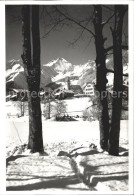 11631840 Elm GL Durchblick Vom Waldrand Mit Hausstock Glarner Alpen Winterimpres - Altri & Non Classificati