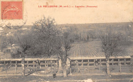 La Pellerine      49      Lapinière   (petits Grattages)  421-422  .Petits Grattages.    (voir Scan) - Other & Unclassified