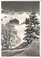 11631672 Braunwald GL Haus Bergfrieden Winterimpressionen Braunwald - Sonstige & Ohne Zuordnung