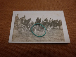 BC29-18 Carte Photo Chasse à Courre Chevaux Et Chiens Cheval Chien - Caccia