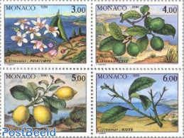 Monaco 1990 4 SEASONS 4V, Mint NH, Nature - Trees & Forests - Ungebraucht