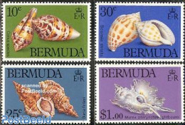 Bermuda 1982 Shells 4v, Mint NH, Nature - Shells & Crustaceans - Meereswelt