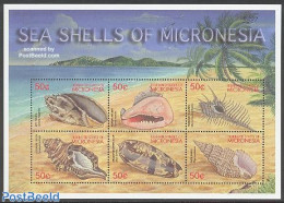 Micronesia 2001 Shells 6v M/s, Cybiola Vespertillo, Mint NH, Nature - Shells & Crustaceans - Maritiem Leven