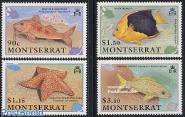 Montserrat 1991 Fish 4v, Mint NH, Nature - Fish - Pesci