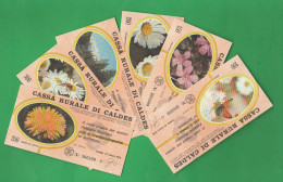 Trento Caldes Cassa Rurale 6 Miniassegni 1978 Da 100 150 200 250 300 350 Lire Fiori Fleurs Flowers - [10] Scheck Und Mini-Scheck