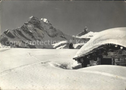 11631569 Braunwald GL Blick Von Braunwaldalp Gegen Ortstock Und Hoher Turm Glarn - Other & Unclassified