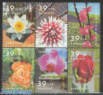 Netherlands 2002 Floriade 6v [++], Mint NH, Nature - Various - Flowers & Plants - Scented Stamps - Ongebruikt