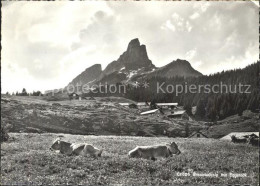 11631489 Braunwald GL Braunwaldalp Mit Eggstock Kuehe Braunwald - Altri & Non Classificati