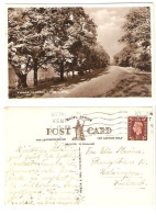 KENT - HYTHE CANAL - AVENUE OF TREES - Posted To Finland 1939 - ENGLAND - UK - - Otros & Sin Clasificación