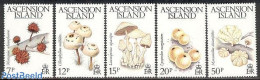 Ascension 1983 Mushrooms 5v, Mint NH, Nature - Mushrooms - Paddestoelen