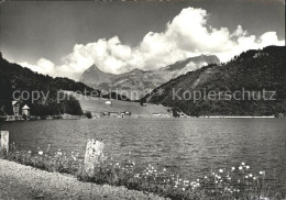 11631452 Glarus GL Uferpartie Am Kloentalersee Alpenpanorama Glarus - Other & Unclassified