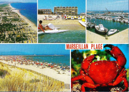 *CPM  - 34 - MARSEILLAN-PLAGE - Multivue - Marseillan