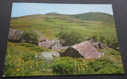 Paysages Du Mont-Lozère - Vaste Plateau Montagneux, Parsemé De Hameaux En Granite - Photo Editions BOS, Ytrac - Autres & Non Classés