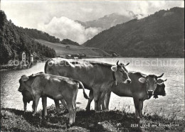 11631404 Kloental Idyll Am Kloentalersee Kuehe Kloental - Autres & Non Classés