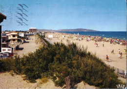 *CPM  - 34 - MARSEILLAN-PLAGE - Vue De La Plage Et De La Promenade - Marseillan