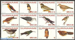 Suriname, Republic 2006 Birds 12v Sheetlet, Mint NH, Nature - Birds - Owls - Surinam