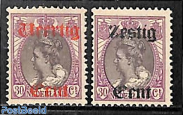 Netherlands 1919 Overprints 2v, Mint NH - Ongebruikt