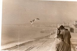 Photographie Photo Vintage Snapshot Nice Mouette Vol Oiseau - Plaatsen