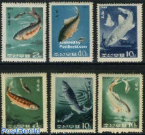 Korea, North 1965 Fish 6v, Mint NH, Nature - Fish - Fishes