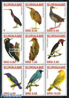 Suriname, Republic 2007 Birds 9v, Sheetlet, Mint NH, Nature - Birds - Suriname