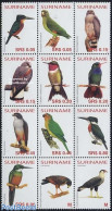 Suriname, Republic 2004 Birds 12v, Sheetlet, Mint NH, Nature - Birds - Birds Of Prey - Parrots - Surinam