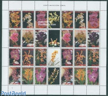 Suriname, Republic 2006 Orchids 2x12v M/s With Gutters, Mint NH, Nature - Flowers & Plants - Orchids - Surinam