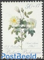 Belgium 1989 Roses 1v (from S/s), Mint NH, Nature - Flowers & Plants - Roses - Nuevos