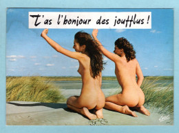 CP Femme Nue - Seins Nus - Humour - Nudisme - Nu - T'as L'bonjour Des Joufflus (marque Due à De L'eau) - Pin-Ups
