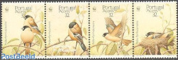 Azores 1990 WWF Birds 4v [:::], Mint NH, Nature - Birds - World Wildlife Fund (WWF) - Azores