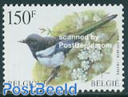 Belgium 1997 Bird 1v, Mint NH, Nature - Birds - Nuevos