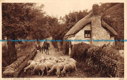 R062462 Lynton. A Devonshire Lane. Photochrom. No 32518 - Welt