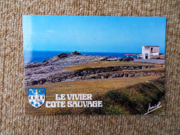 KB11/1113-Quiberon Côte Sauvage 1975 Le Vivier Café Bar - Quiberon