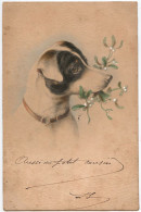 Belle Carte Fantaisie - Portrait De Chien Et Gui - CPA - Précurseur - Chiens