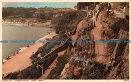 R062473 Paignton. Goodrington Cliff Walk. Photochrom. No 80329. 1942 - Welt