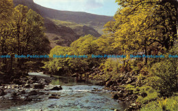 R063602 River Derwent. Borrowdale. Sanderson And Dixon. Jarrold - Welt