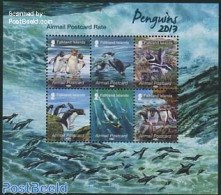 Falkland Islands 2013 Penguin 6v M/s, Mint NH, Nature - Birds - Penguins - Autres & Non Classés