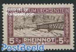 Liechtenstein 1928 5Rp, Stamp Out Of Set, Unused (hinged), Nature - Water, Dams & Falls - Art - Bridges And Tunnels - Neufs