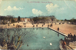 *CPA Précurseur - 34 - MONTPELLIER - Plateau Du Peyrou - Animée - Montpellier