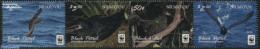 Niuafo'ou 2016 WWF, Black Petrel 4v [:::] (no White Border), Mint NH, Nature - Birds - World Wildlife Fund (WWF) - Other & Unclassified