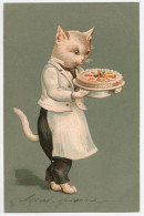 Belle Carte Fantaisie - CHAT HUMANISE LIVRANT UN GATEAU CARTE GAUFFREE - CPA - Précurseur Raphael Tuck 1904 - Cats