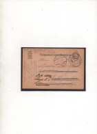 AUTRICHE-HONGRIE,1916, MILITARPFLEGE, K,U,K,NOT-RESERVESPITAL IN ZELL AM SEE, FELDPOST 242 - Covers & Documents