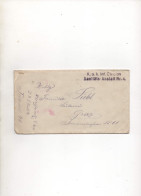 AUTRICHE-HONGRIE,1915, K,U,K, INF,DIVISION SANITATS-ANSTALT NR,4, FELDPOST 40 - Lettres & Documents